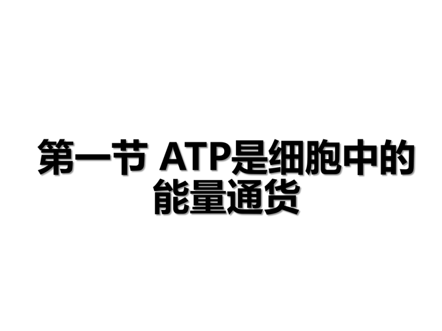 3.1 ATP是细胞内的“能量通货 课件(共29张PPT)