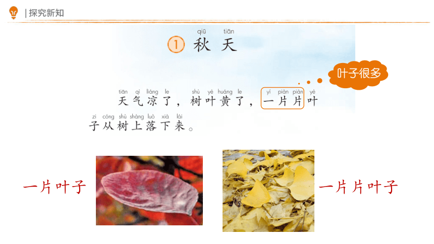 1 秋天 第二课时 课件(共20张PPT)