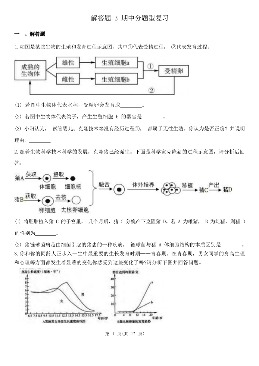 解答题3-期中分题型复习（第1章 代代相传的生命 含解析）