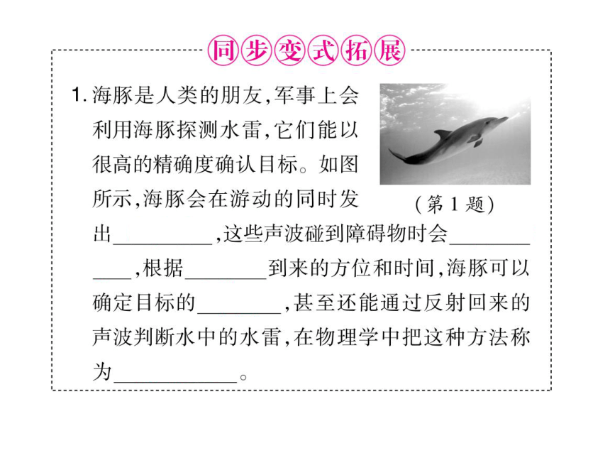 2021-2022学年八年级上册人教版物理习题课件 第二章 第3节 声的利用(共19张PPT)