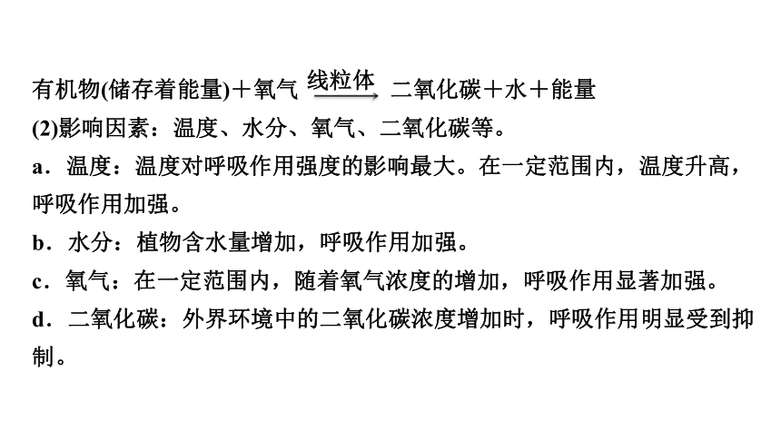 3.4  植物的光合作用、呼吸作用与植物在生物圈中的作用复习课件(共59张PPT)