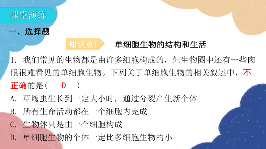 人教版生物七年级上册 2.2.4单细胞生物课件(共30张PPT)