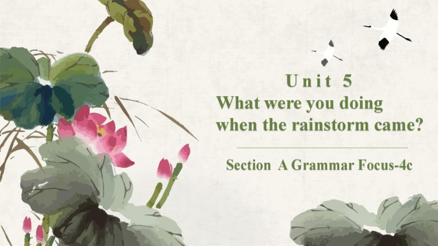 Unit 5 What were you doing when the rainstorm came Section A Grammar Focus-4c 课件(共29张PPT) 人教版八年级下册