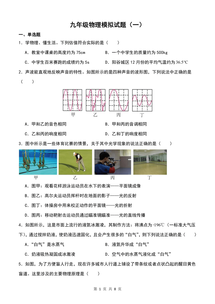 2024年山东省聊城市阳谷县实验中学中考物理模拟试卷一（PDF版 无答案）