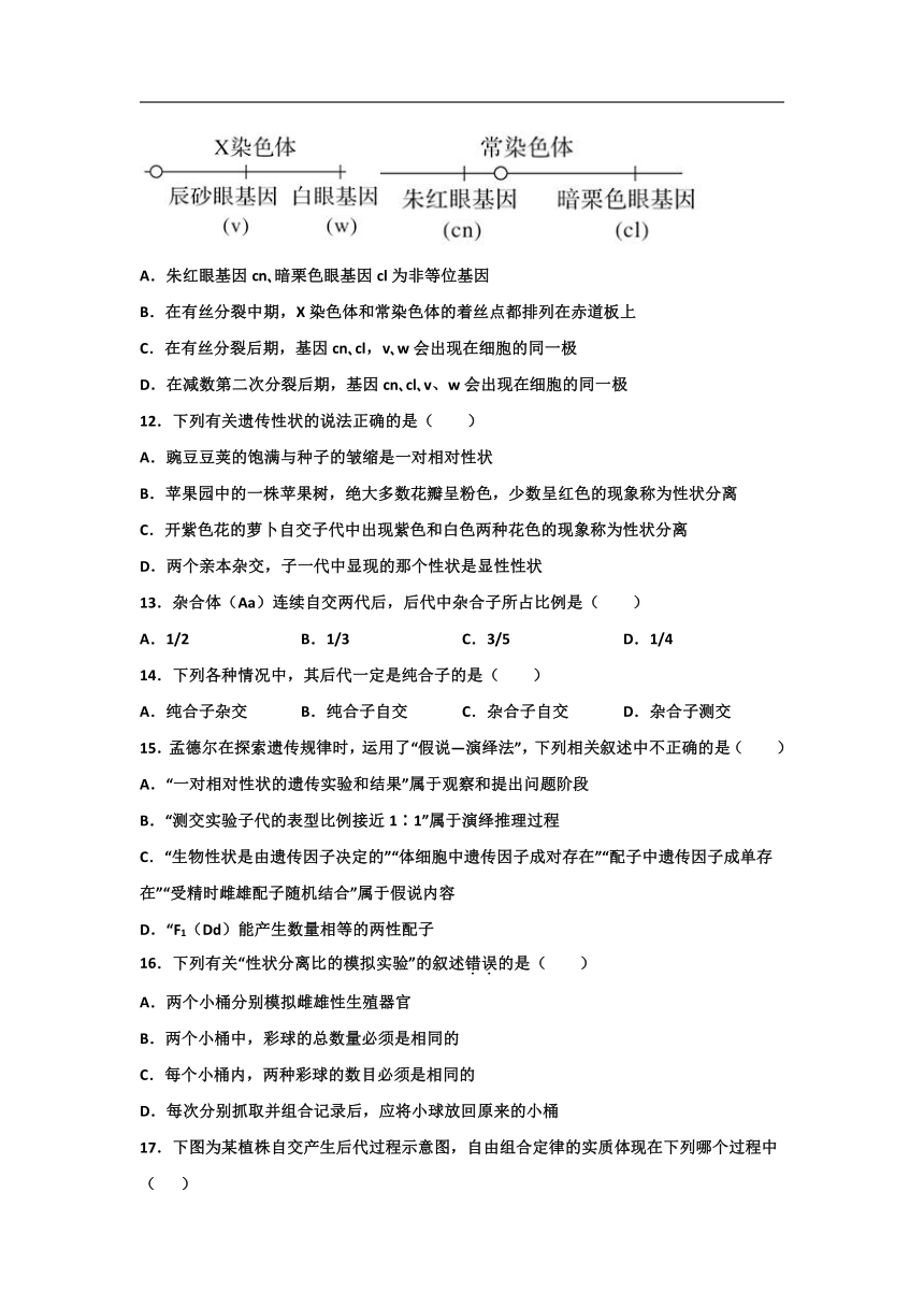 安庆市白泽湖中学2021-2022学年高一分班考试生物试卷（word版含答案）