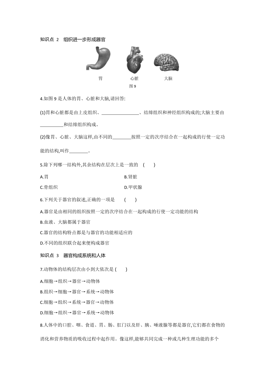 2021-2022学年人教版生物七年级上册2.2.2动物体的结构层次---同步练习 （word版 含解析）