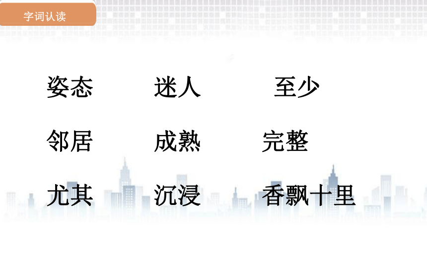 3桂花雨课件（2课时 26张PPT)