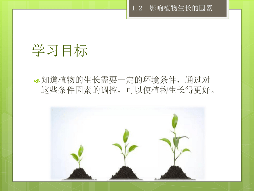 1.2 影响植物生长的因素 课件(共15张PPT)   2022—2023学年云南省劳动技术教育八年级上册