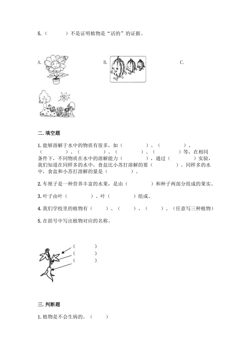 教科版（2017秋）2021-2022学年科学一年级上册第一单元 植物 单元测试卷（含答案）