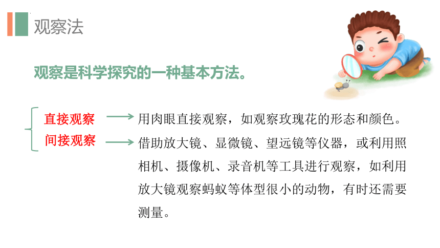 1.1.1生物的特征课件(共27张PPT)2022—2023学年人教版生物七年级上册