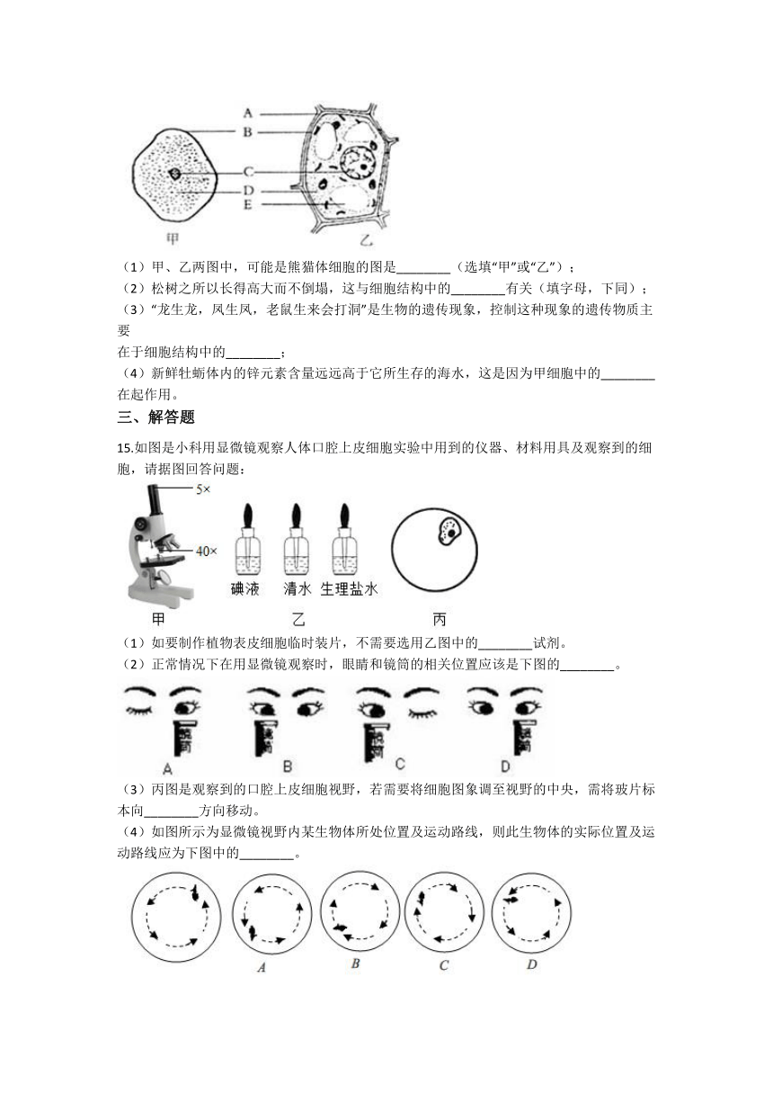 2.2 细胞 同步练习（含解析）