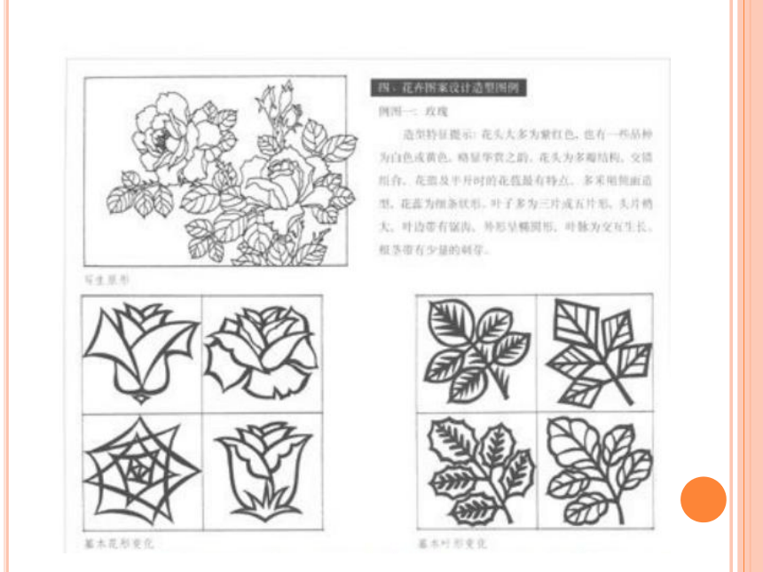 岭南版七下：5.花卉与纹样 课件（30张）
