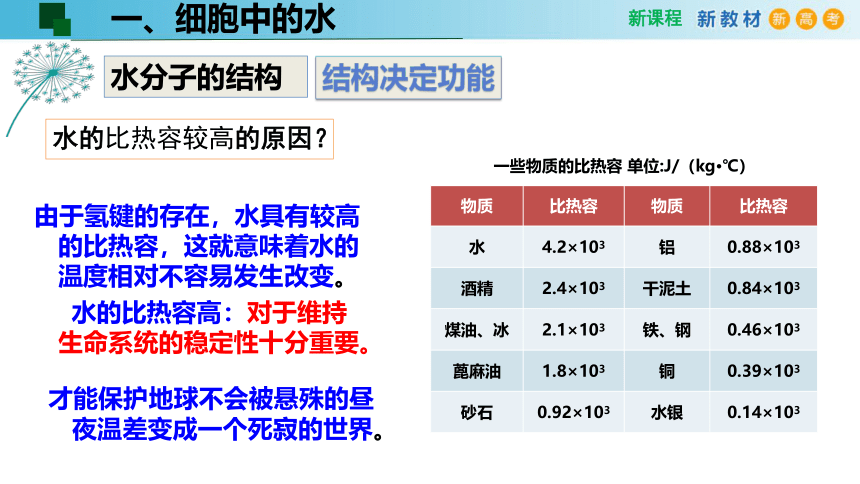 2.2细胞中的无机物(课件共24张PPT)