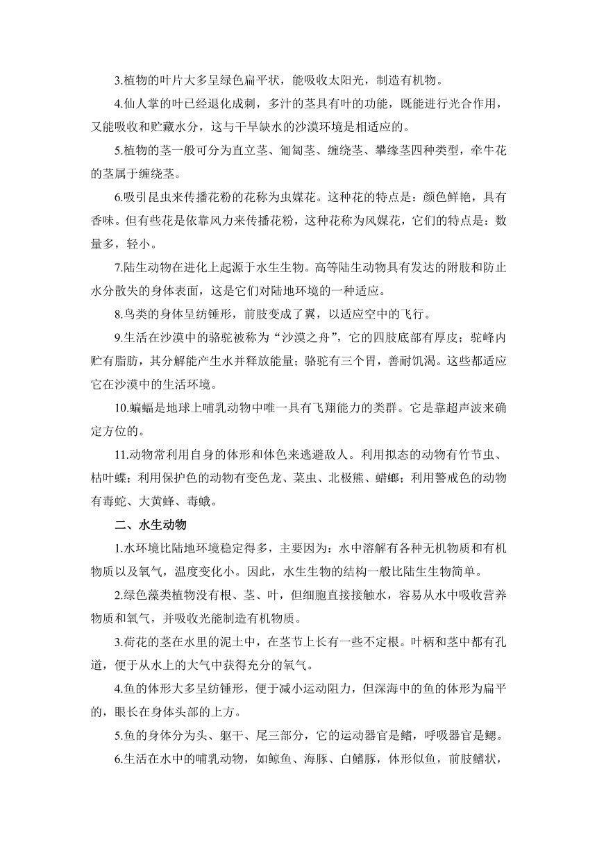 地球上的生物 2022-2023学年生物学科期末复习 北师大版七年级上册