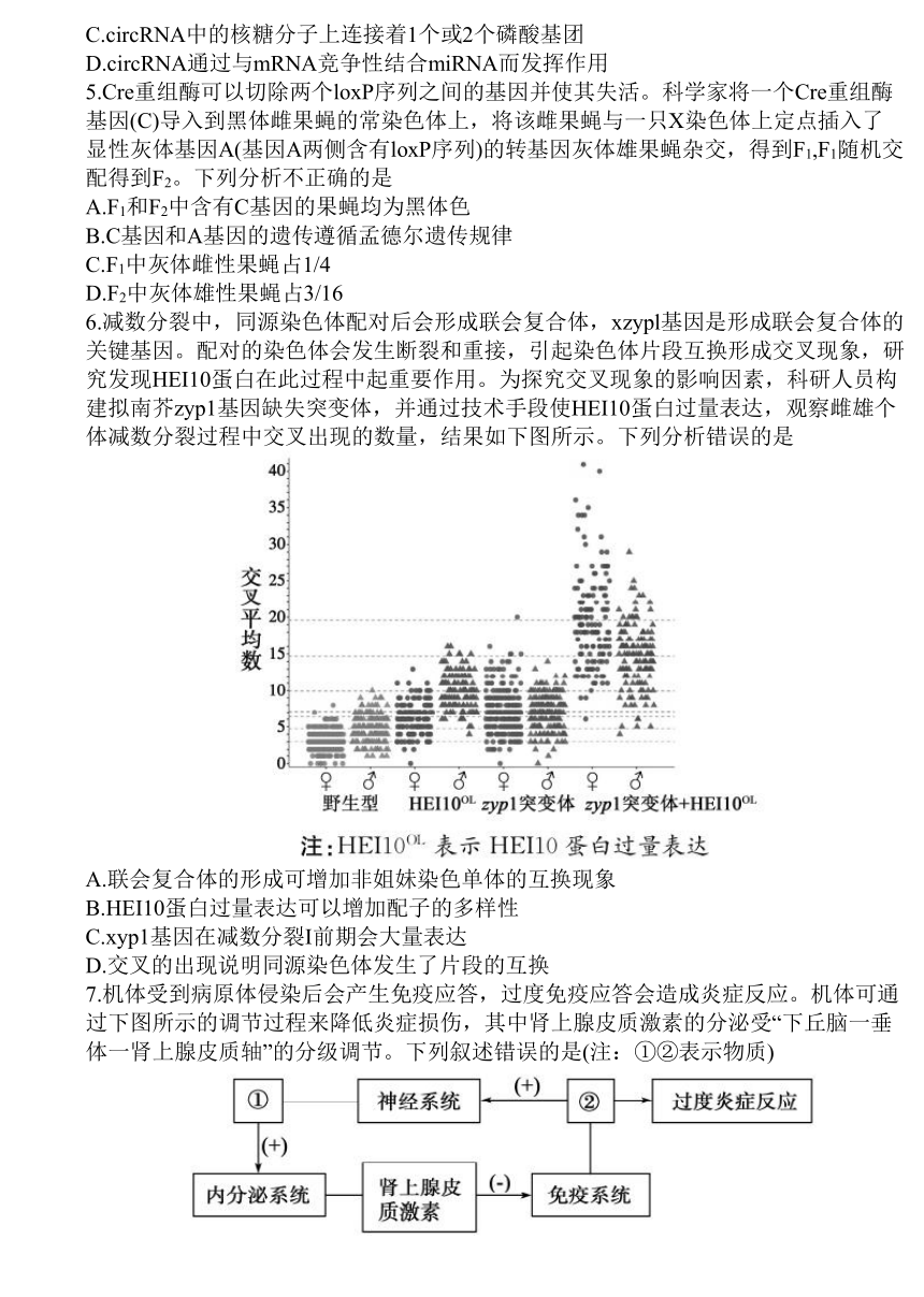 2023届山东省德州市高三下学期5月第三次模拟（三模）生物学试题（Word版含答案）