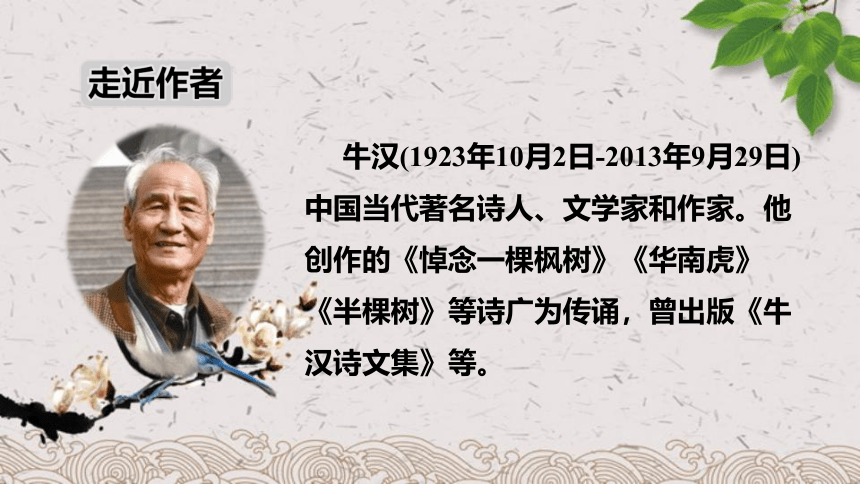 23 父亲、树林和鸟 课件 (共23张PPT)