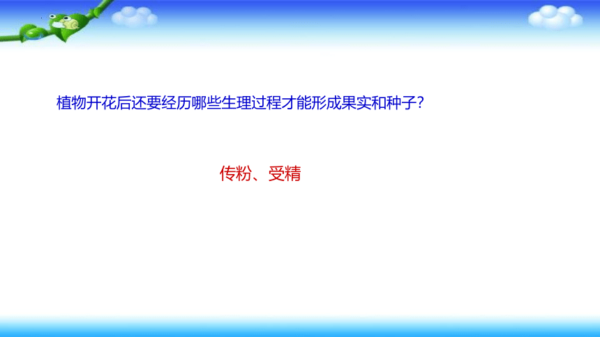 7.1.1植物的生殖课件2021—2022学年人教版生物八年级下册  课件 (共49张PPT)