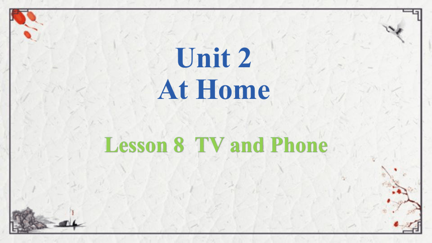 Unit 2   Lesson 8 TV and Phone课件（12张PPT)