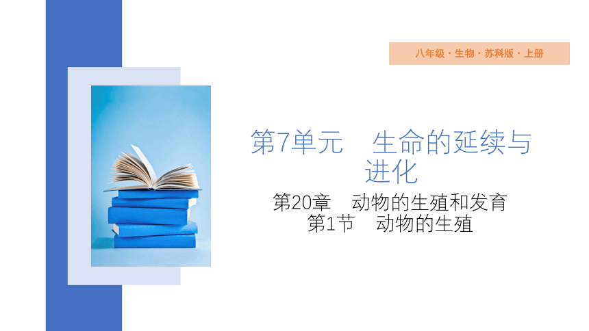 7.20.1 动物的生殖 课件(共22张PPT) 2023-2024学年苏科版生物八年级上册