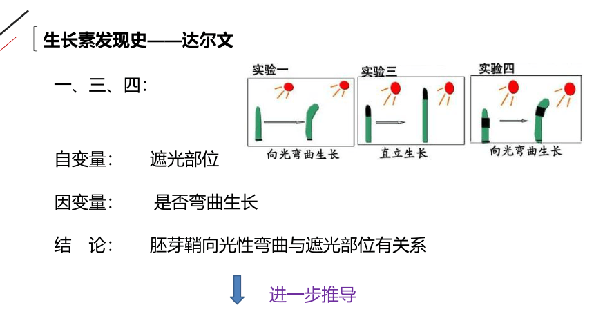 高中生物人教版必修3-3.1 植物生长素的发现 课件（共33张PPT）