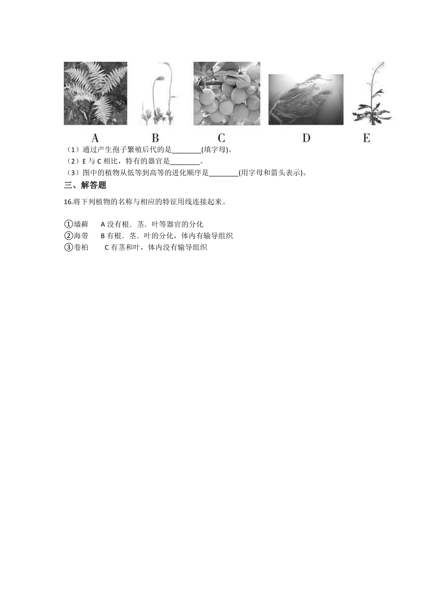 2.5常见的植物 同步练习（含解析）