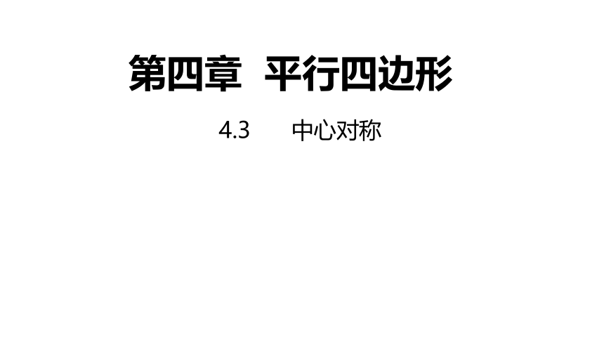 浙教版数学八年级下册 4.3中心对称 课件(共19张PPT)