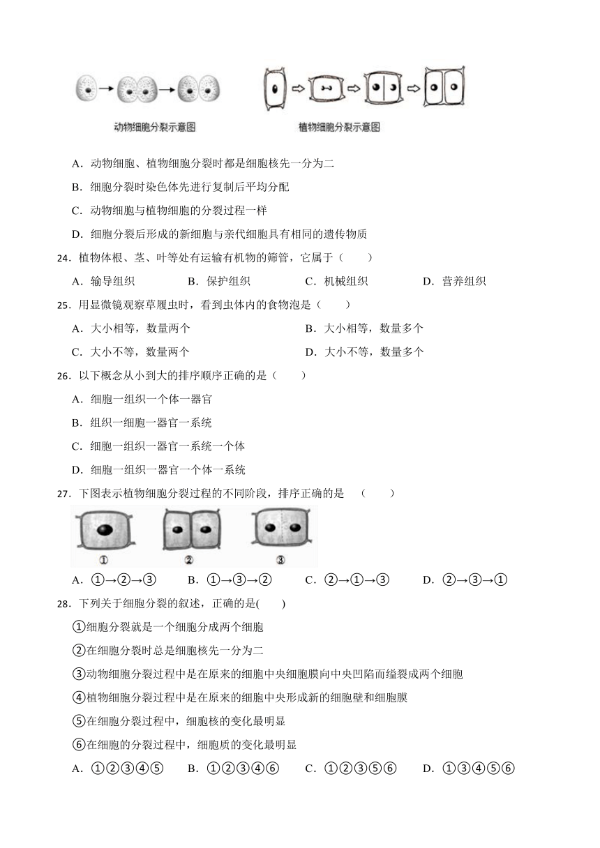 七年级上册生物人教版第二单元第二章检测题（word版 含答案）