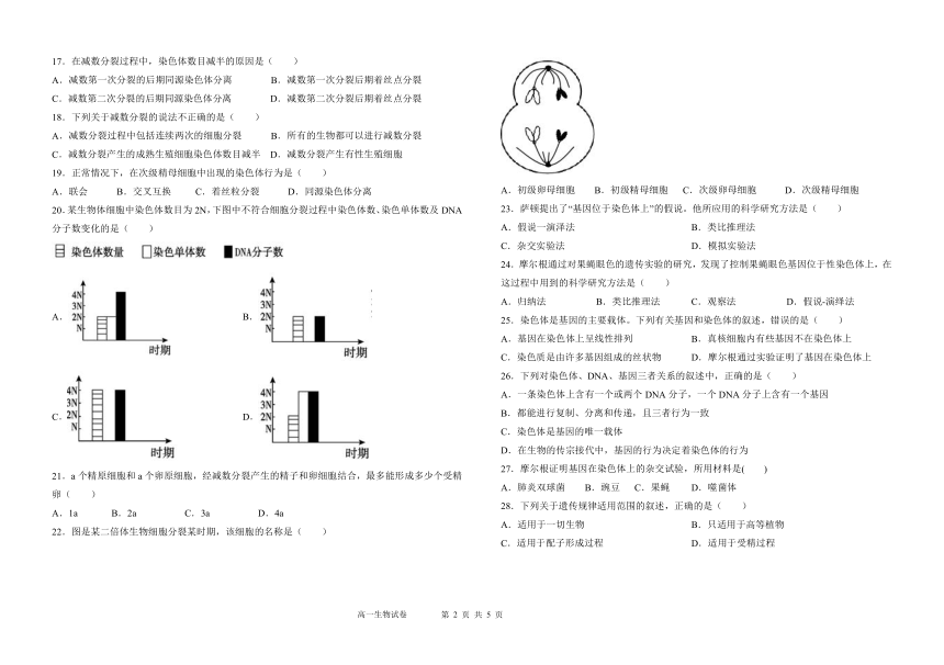 黑龙江省宾县二高2020-2021学年高一下学期5月第二次月考生物试题     含答案