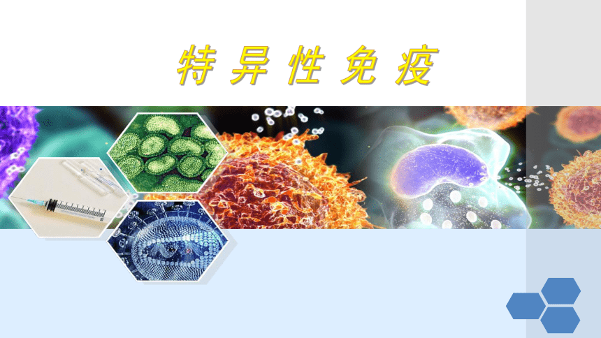 冀教版七年级下册生物 6.1 免疫 课件（共16张PPT）