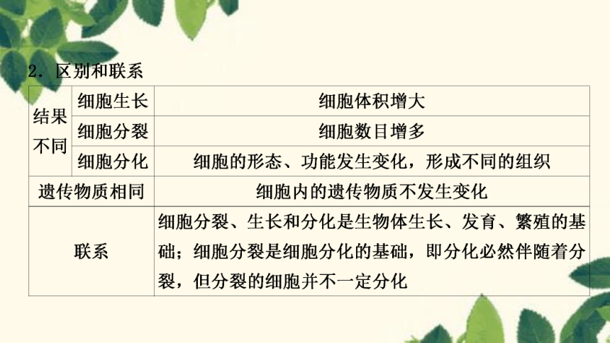 人教版生物七年级上册 第二单元　生物体的结构层次第二章　细胞怎样构成生物体第二节 动物体的结构层次 课件 (共25张PPT)