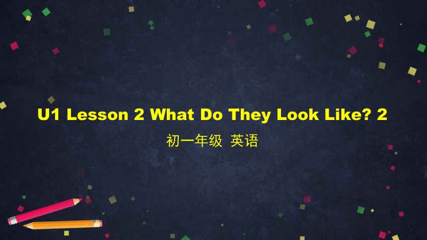 初一英语(师大版)U1 Lesson 2 What Do They Look Like 2-2课件（43张PPT）