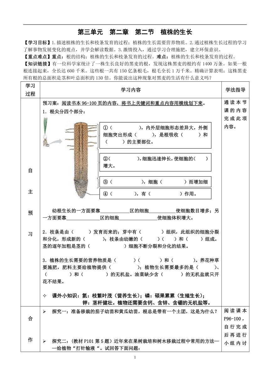 2022-2023学年度七年级第一学期生物同步课程3.2.2 植株的生长 导学案（无答案）