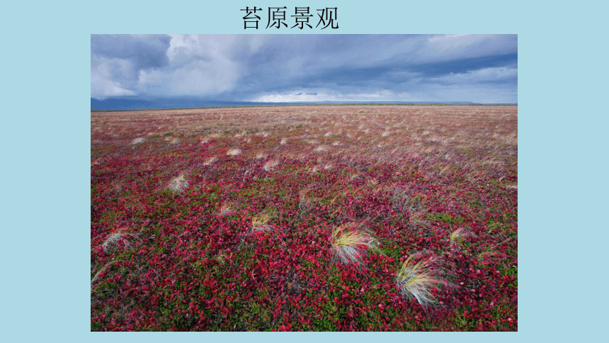 7.4俄罗斯课件2021-2022学年人教版地理七年级下册（共41张PPT）