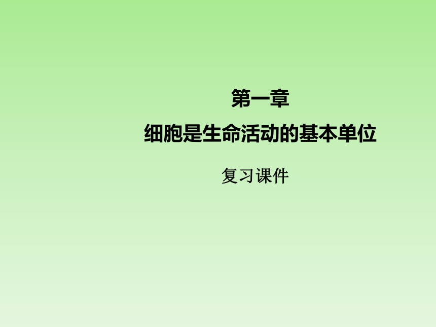 人教版七年级生物上册2.1《细胞是生命活动的基本单位》复习课件(共29张PPT)