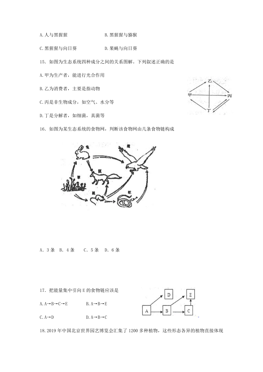 山东省济宁市嘉祥县2021～2022学年八年级下学期期中考试八年级生物试题（word版，含答案）