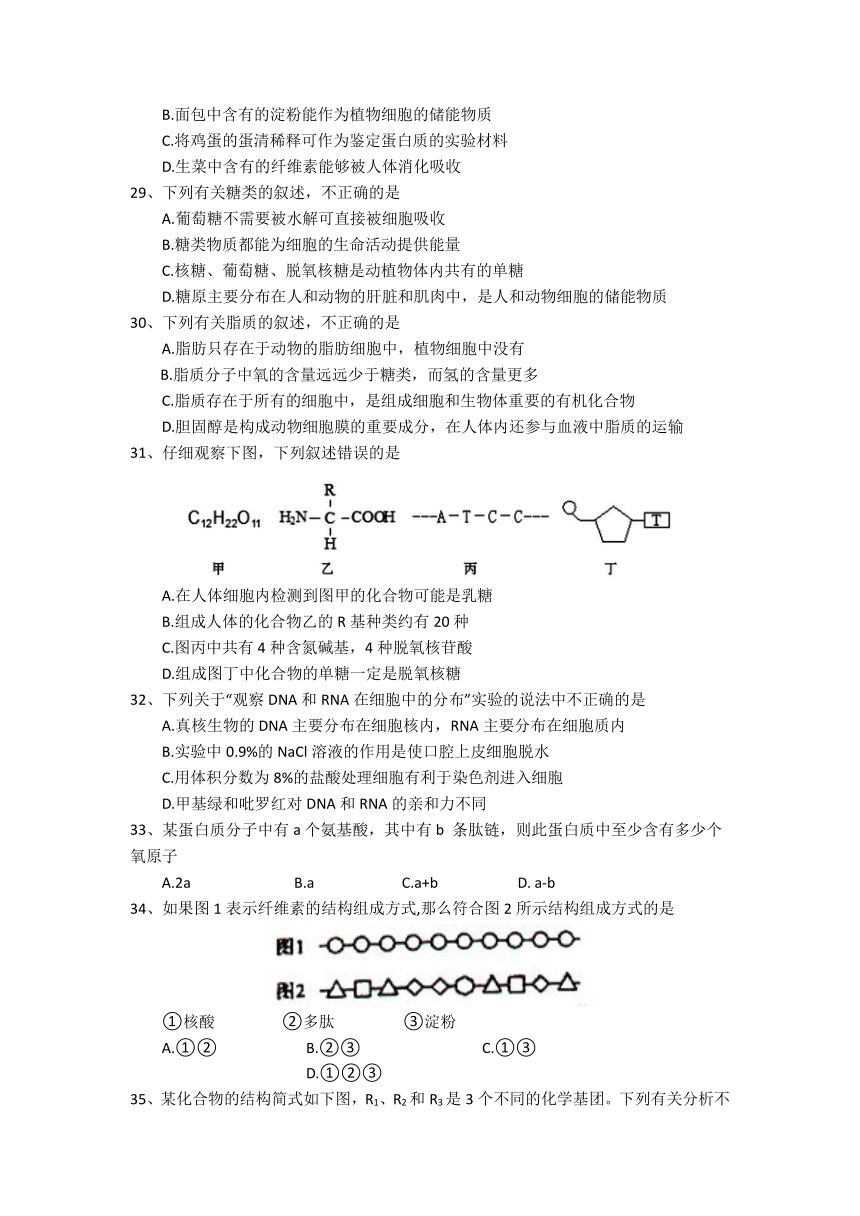 四川省遂宁市射洪重点中学校2021-2022学年高一上学期第三学月考试（普通班）生物试卷（Word版含答案）