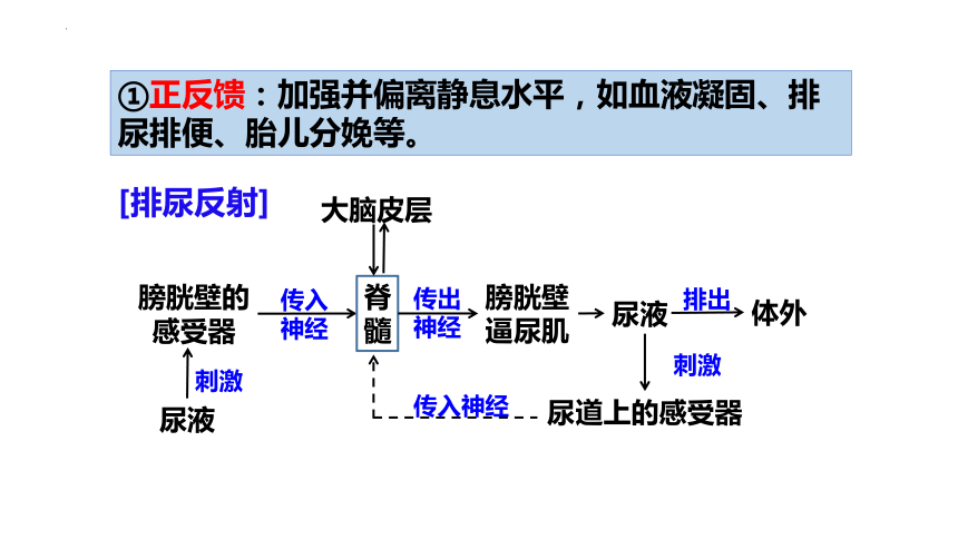 高中生物人教版(2019)选择性必修1 3.2激素调节的过程（共45张ppt）