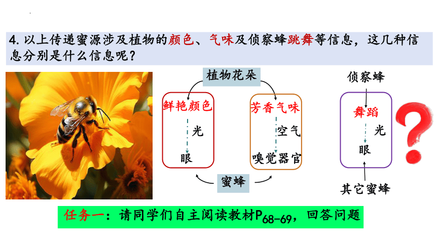 3.4生态系统的信息传递课件（共36张PPT)-人教版（2019）选择性必修2