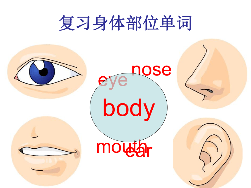 三年级下册英语课件-Unit 5 Parts of the Body Part B  闽教版 ( 共12张PPT )