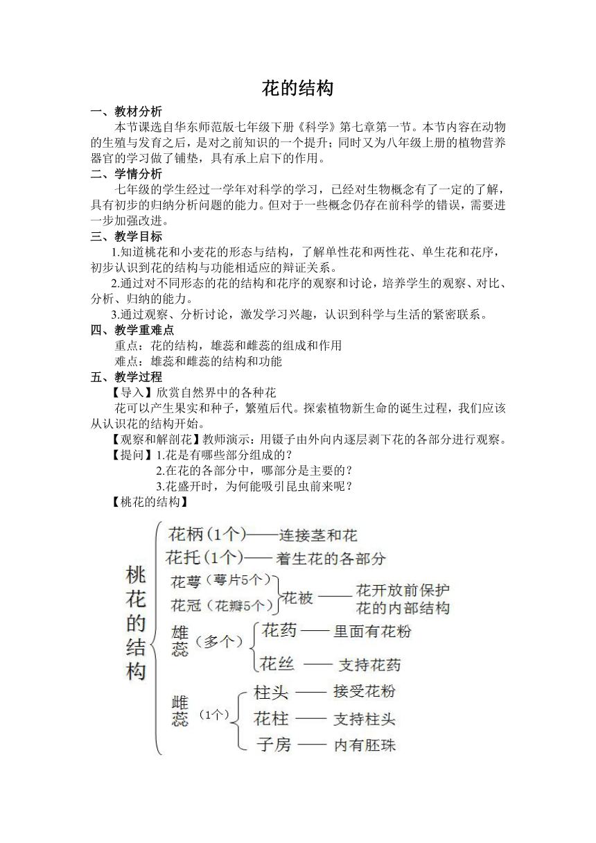 华师大版七年级下册科学 7.1绿色开花植物的有性生殖和发育 教案