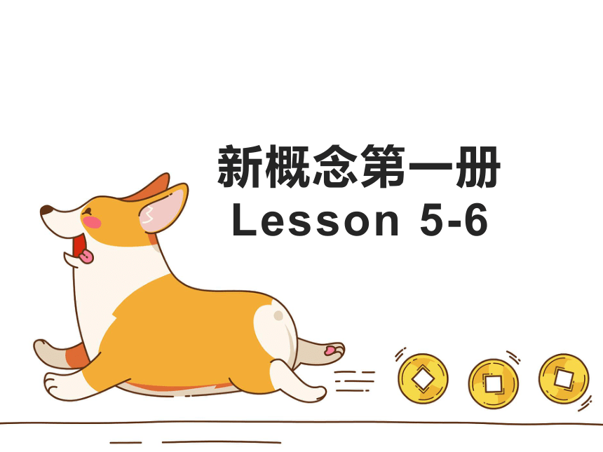 新概念英语第一册课件-lesson5-6(共61张PPT)