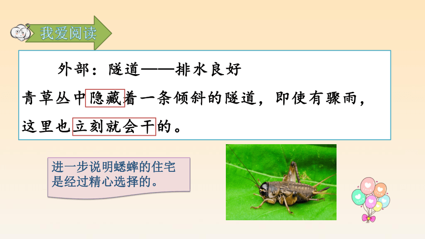 第11课 蟋蟀的住宅 第二课时（课件27张PPT）