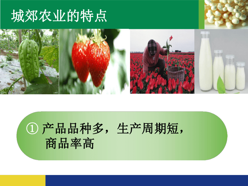 中图版（上海用） 第二册  专题22 农业区位与农业地域类型  城郊农业  课件（20张PPT）