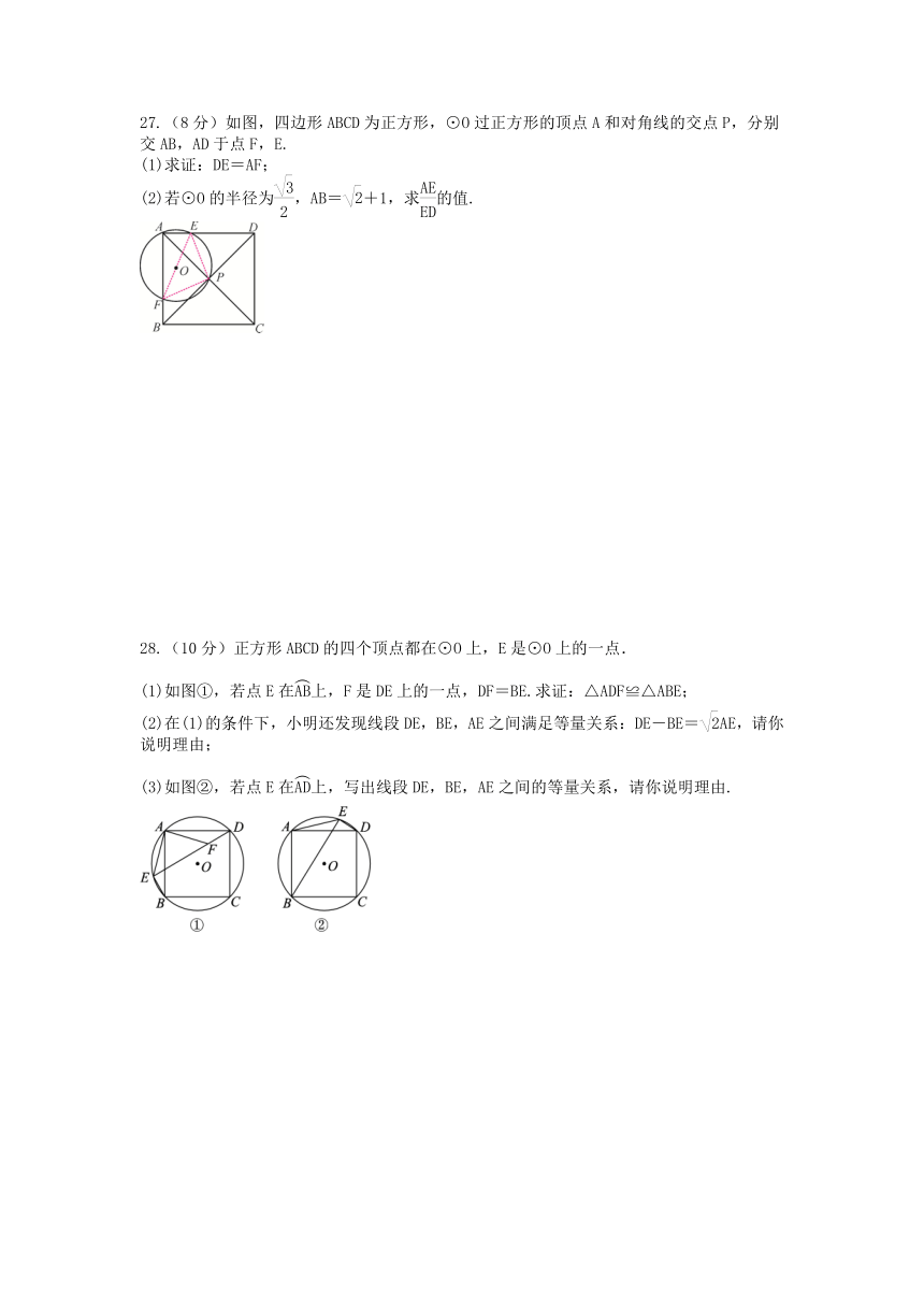 2.4 圆周角强化提优训练（二）(含答案)