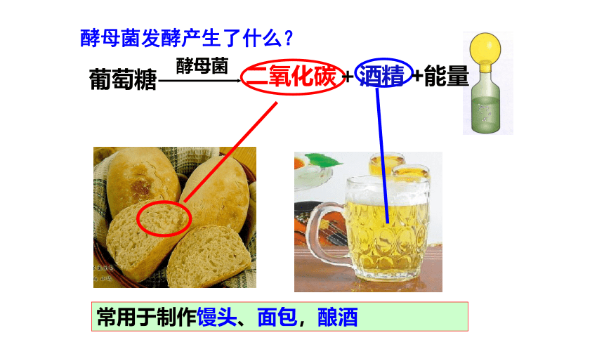 5.4.5 人类对细菌和真菌的利用课件（含58张ppt）