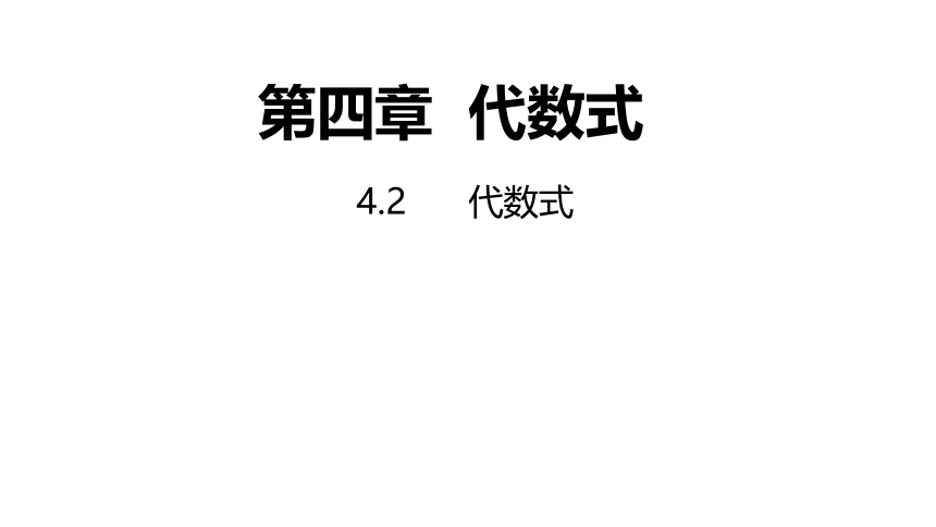 浙教版数学七年级上册：4.2代数式  同步新授课件(共13张PPT)