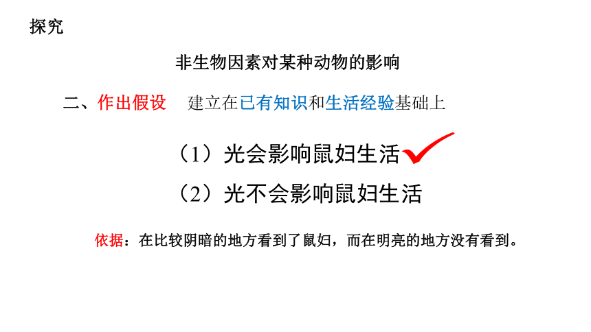 初中生物人教版七年级上册1.2.1生物与环境的关系（第二课时）课件(共20张PPT)