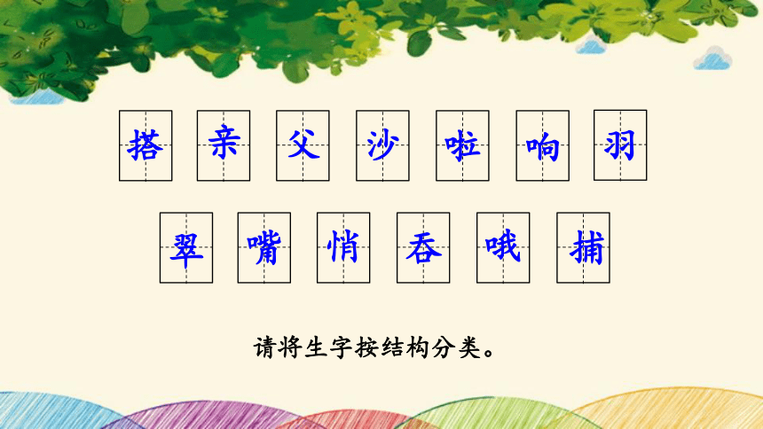 15 搭船的鸟 课件(共24张PPT)