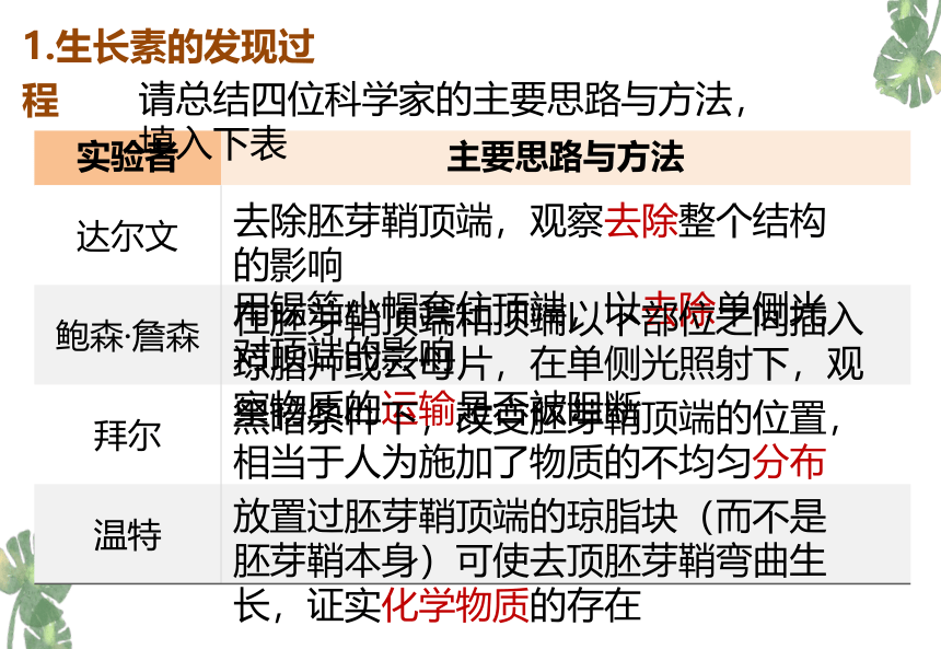 2021——2022学年高二上学期生物人教版必修三3.1植物生长素的发现课件(共31张PPT)