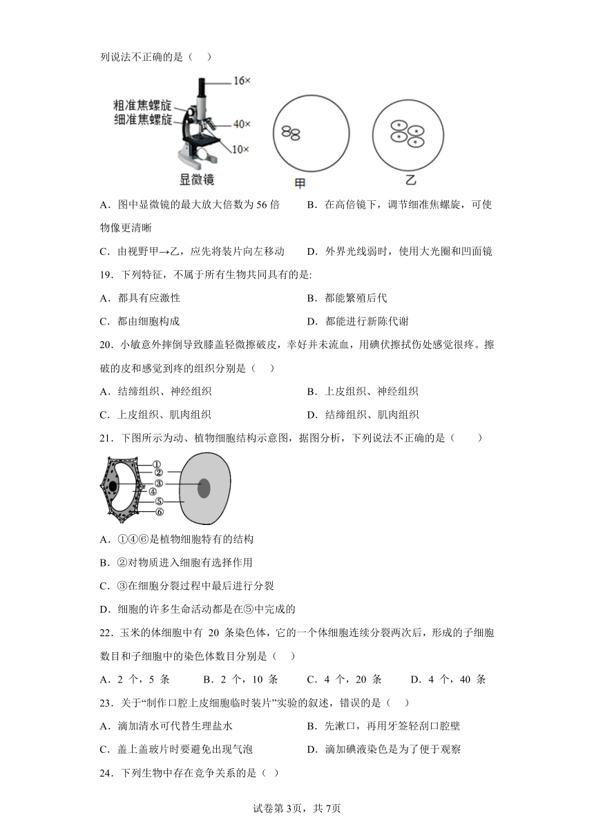 广东省韶关市仁化县2022-2023学年七年级上学期期中生物试题(含答案)